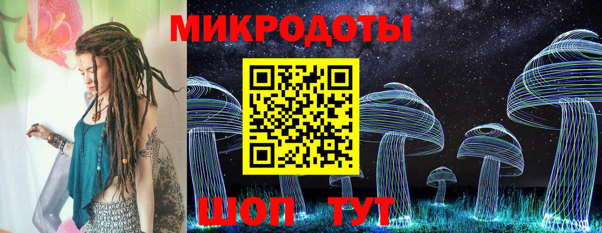 Галлюциногенные грибы Cubensis  Вход с VPN  Кандалакша  Псилоцибиновые грибы Psilocybine cubensis 