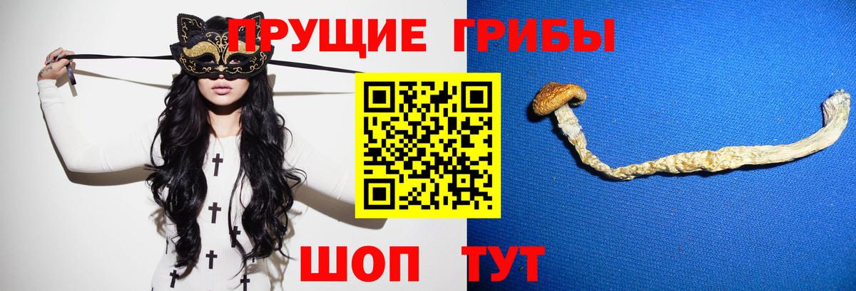 Псилоцибиновые грибы прущие грибы Кандалакша
